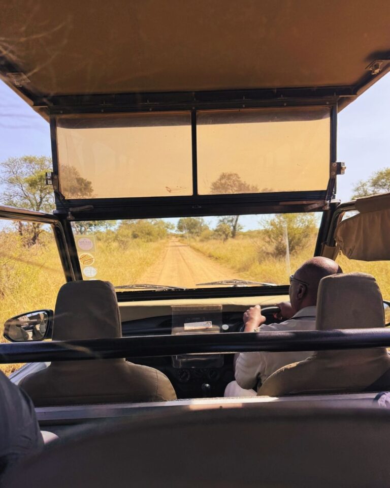 Hakuna Matata Experience152